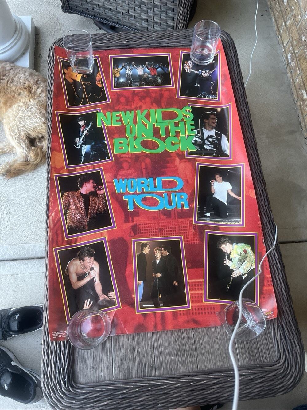 1990 {Funky} (NKOTB) "NEW KIDS ON THE BLOCK" (WORLD TOUR) {3285} Music Poster